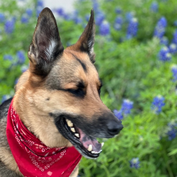 Meet your Posher, Adam - Picture 1 of 1